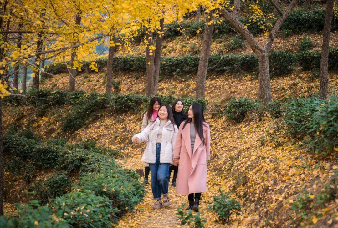 ——潜山“主理人经济”一线探访澳门新葡京网站乡村来了主理人(图7) ——潜山“主理人经济”一线探访澳门新葡京网站乡村来了主理人(图7)