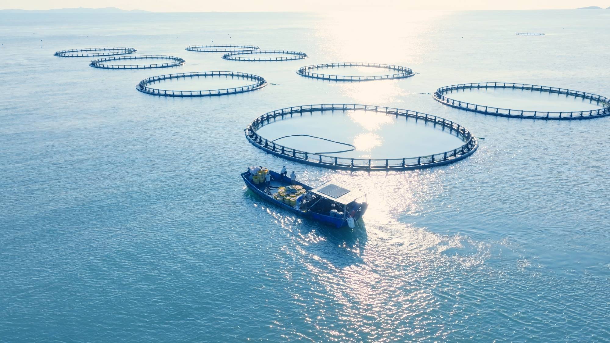 海”一座海岛的生态协奏与诗意生长澳门新葡京入口从“牧渔”到“牧(图3)