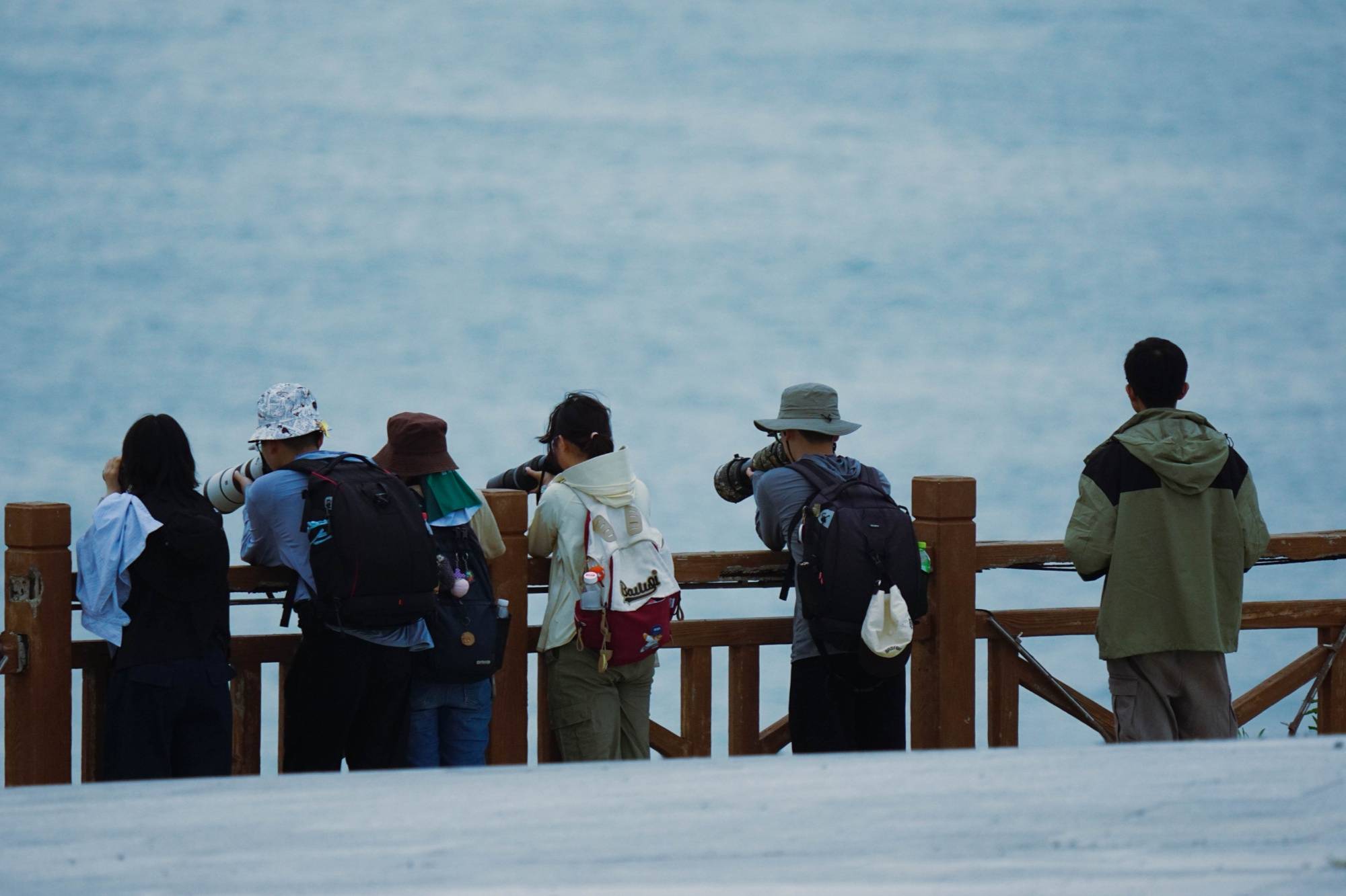 海”一座海岛的生态协奏与诗意生长澳门新葡京入口从“牧渔”到“牧(图6)